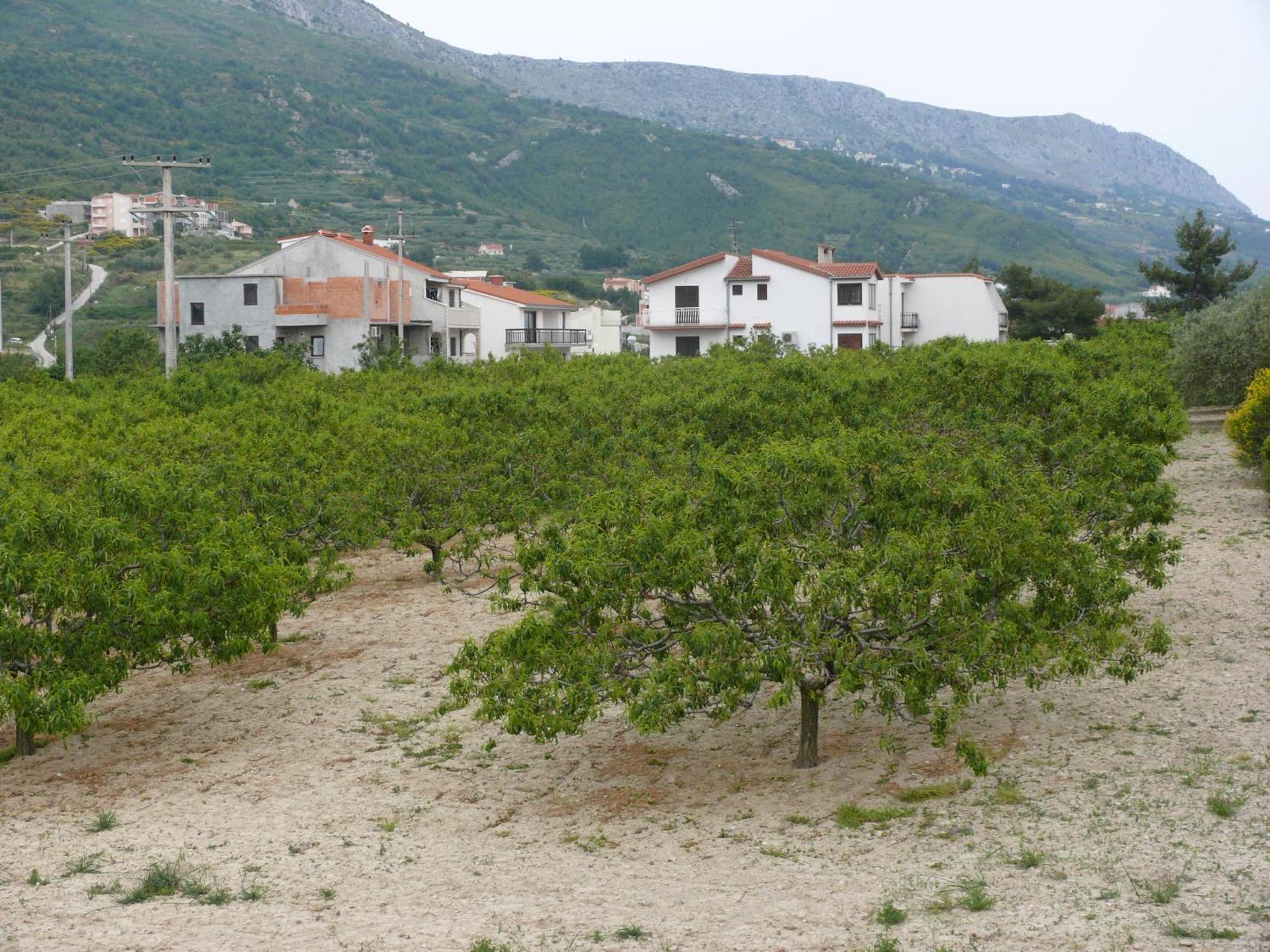 Apartments And Rooms Stipe Podstrana Exterior photo